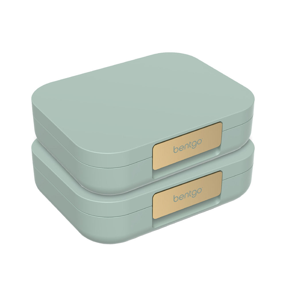 bentgo-modern-lunch-box-2-pack-l1 BGOMD2P-MG-01.jpg