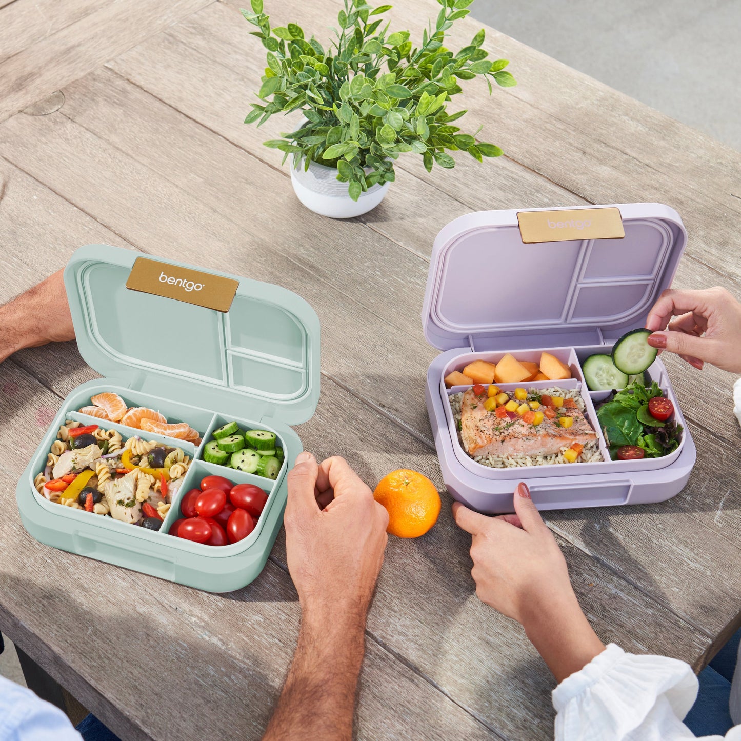 bentgo-modern-lunch-box-2-pack-w2 COSTCOBMCPRODUCTIMAGE_2.jpg